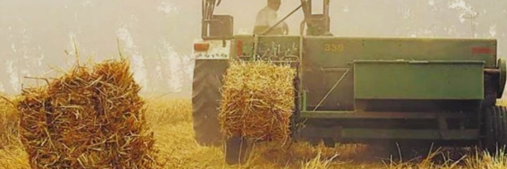 पराली पर सरकार की तैयारी शुरू, किसानों को राहत और जिम्मेदारी दोनों का संदेश