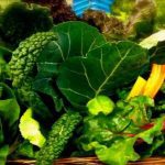 Vegetables To Avoid In Monsoon, Monsoon Diet, Rainy Season Diet, Health Tips, Healthy Diet, मानसून डाइट, बारिश में क्या खाएं, बारिश में क्या न खाएं, हेल्थ न्यूज़, Nutrition Tips