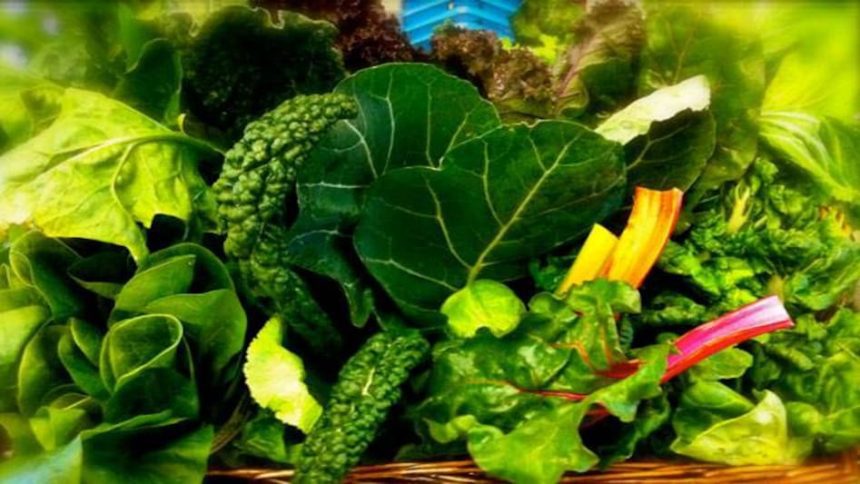 Vegetables To Avoid In Monsoon, Monsoon Diet, Rainy Season Diet, Health Tips, Healthy Diet, मानसून डाइट, बारिश में क्या खाएं, बारिश में क्या न खाएं, हेल्थ न्यूज़, Nutrition Tips