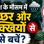 Monsoon Health Tips, Dengue Prevention, Malaria, Mosquito Control, Housefly Prevention, Rainy Season, Health Tips, Monsoon Care, Hygiene Tips, Lifestyle News