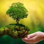 डॉ. दीपक गोस्वामी पर्यावरण संरक्षण वृक्षारोपण वृक्षों का महत्व प्रकृति संरक्षण वृक्ष और भारतीय संस्कृति ईश्वर भक्ति पेड़ लगाने का महत्व Nature Conservation Tree Plantation in India
