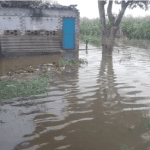 Bahraich Flood News: बहराइच में घाघरा का जलस्तर बढ़ा, गांवों में घुसा पानी; 2 हजार लोग प्रभावित