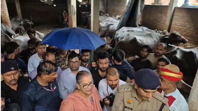पारा में अवैध डेयरियों के खिलाफ नगर निगम की सख्त कार्रवाई