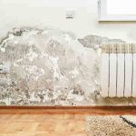 Wall Dampness Solution, Damp Wall Treatment, Monsoon Home Care Tips, Waterproofing Tips, दीवारों की सीलन, पेंट झड़ने के उपाय, Home Care Tips