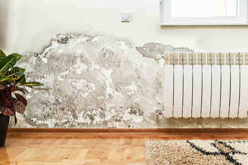 Wall Dampness Solution, Damp Wall Treatment, Monsoon Home Care Tips, Waterproofing Tips, दीवारों की सीलन, पेंट झड़ने के उपाय, Home Care Tips
