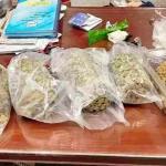 Lucknow Airport: समुद्री भोजन के टिन में छिपा था 1.677 करोड़ का गांजा, AIU ने यात्री को दबोचा