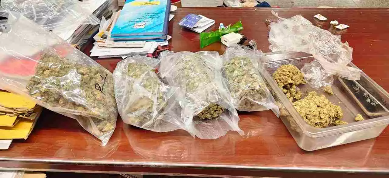 Lucknow Airport: समुद्री भोजन के टिन में छिपा था 1.677 करोड़ का गांजा, AIU ने यात्री को दबोचा