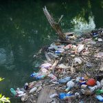 Shravasti News: डॉल्फिन और मगरमच्छ संरक्षण को लेकर वन विभाग का जागरूकता अभियान