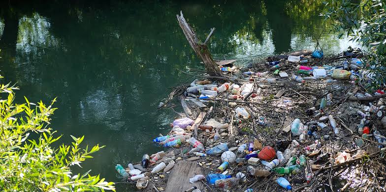 Shravasti News: डॉल्फिन और मगरमच्छ संरक्षण को लेकर वन विभाग का जागरूकता अभियान